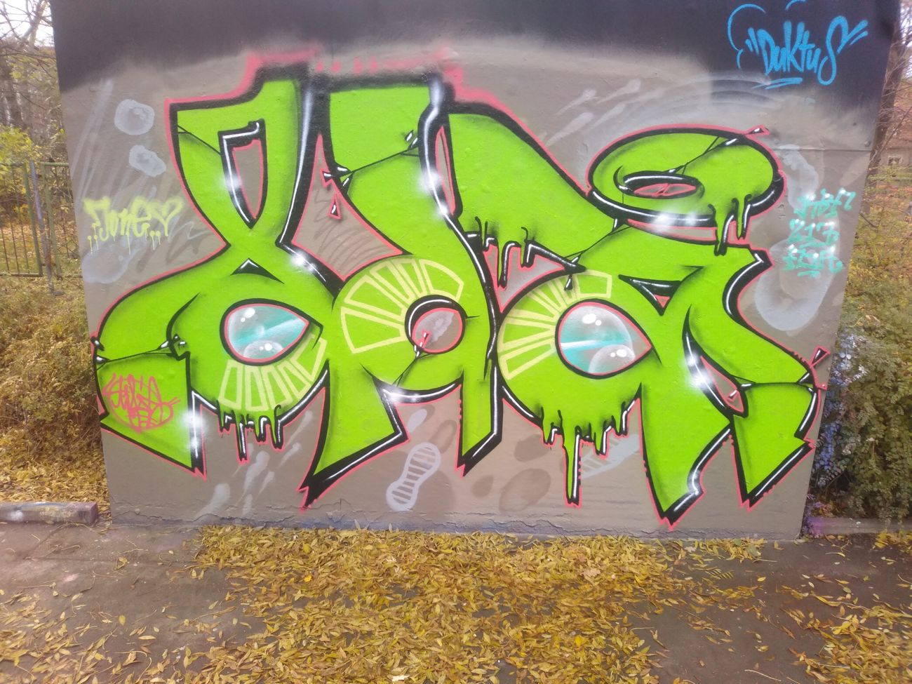 Photo #247479 by DISOE