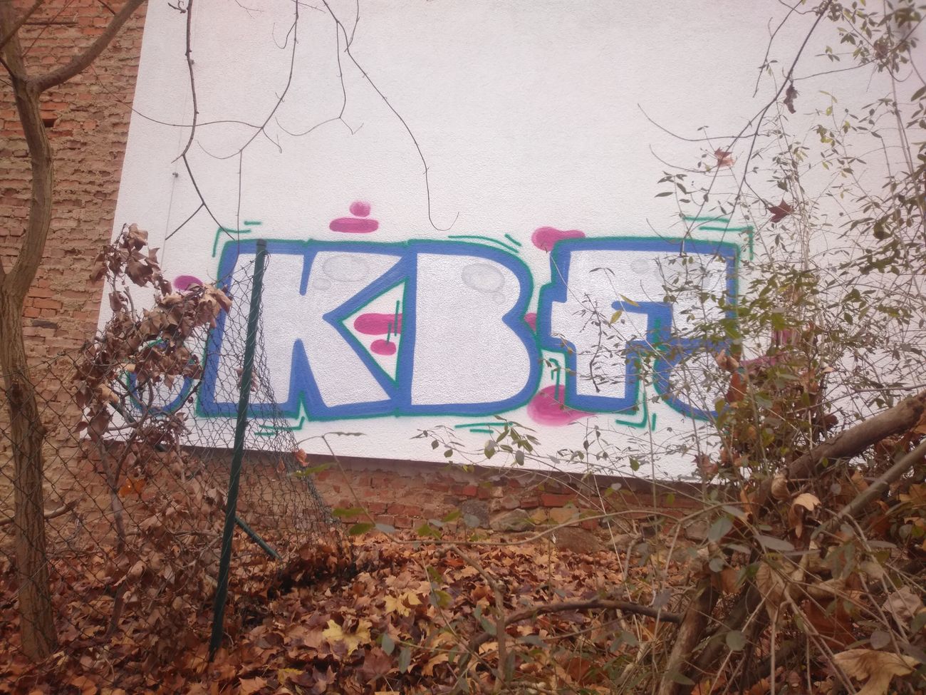 Photo #247472 by DISOE