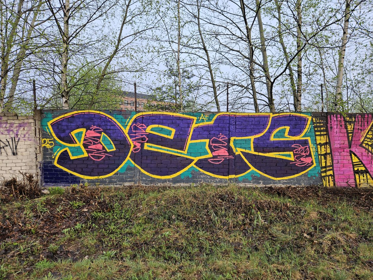 Photo #245168 by DTR1