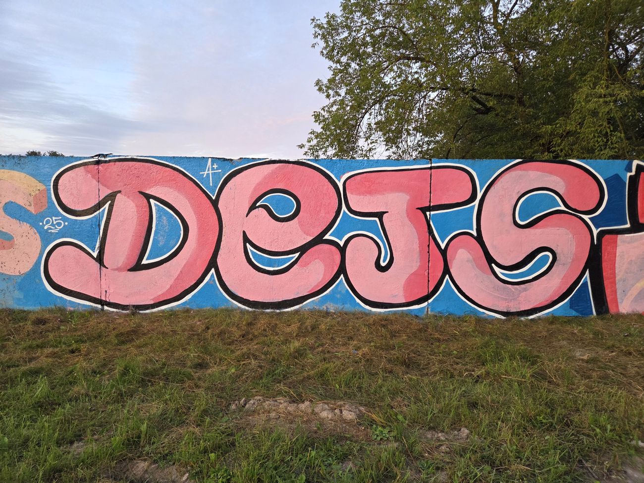 Photo #246262 by DTR1