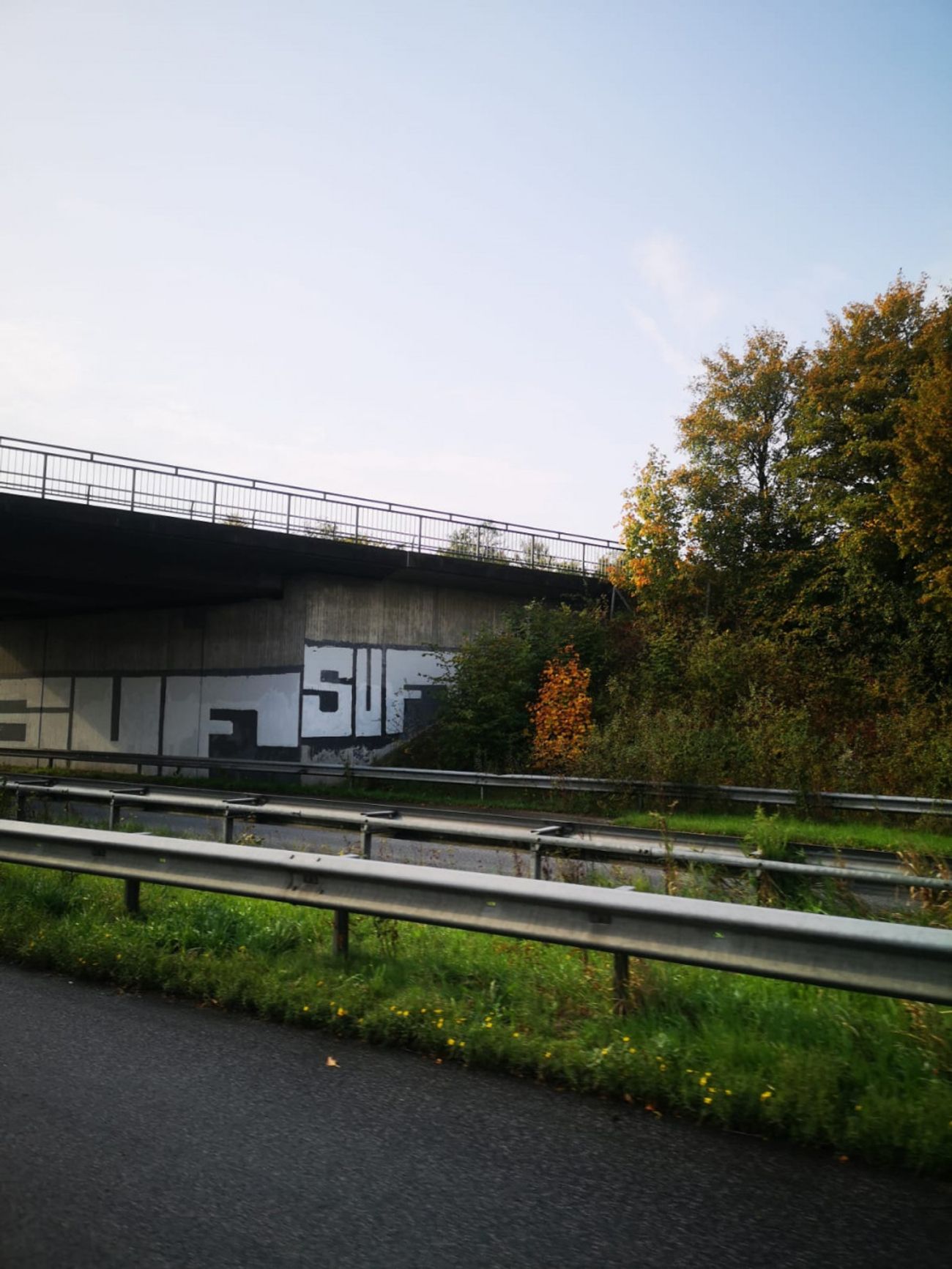 Photo #229132 by DerKoeter