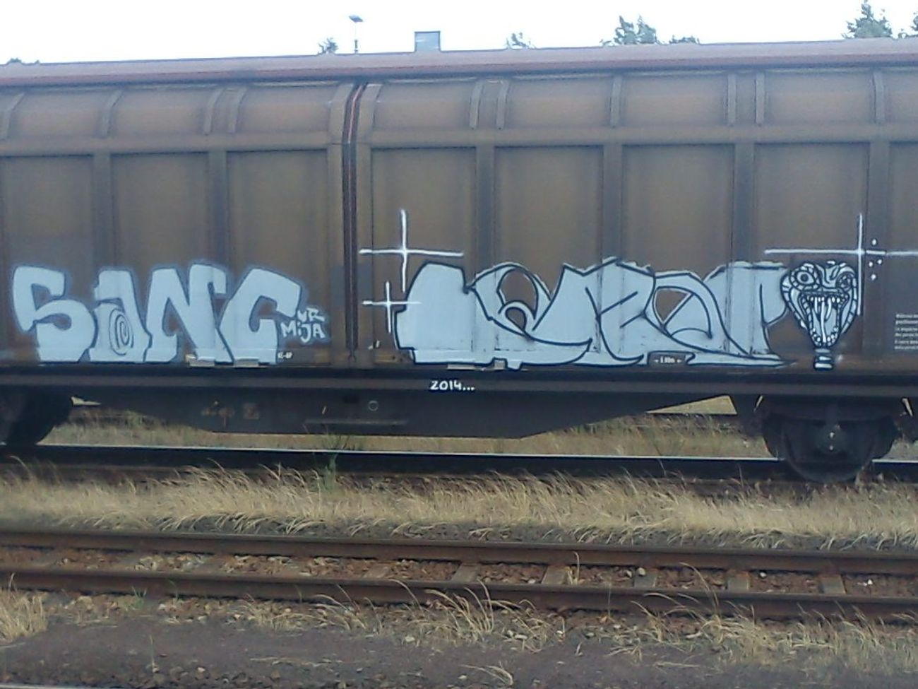 Photo #171175 by DerKoeter
