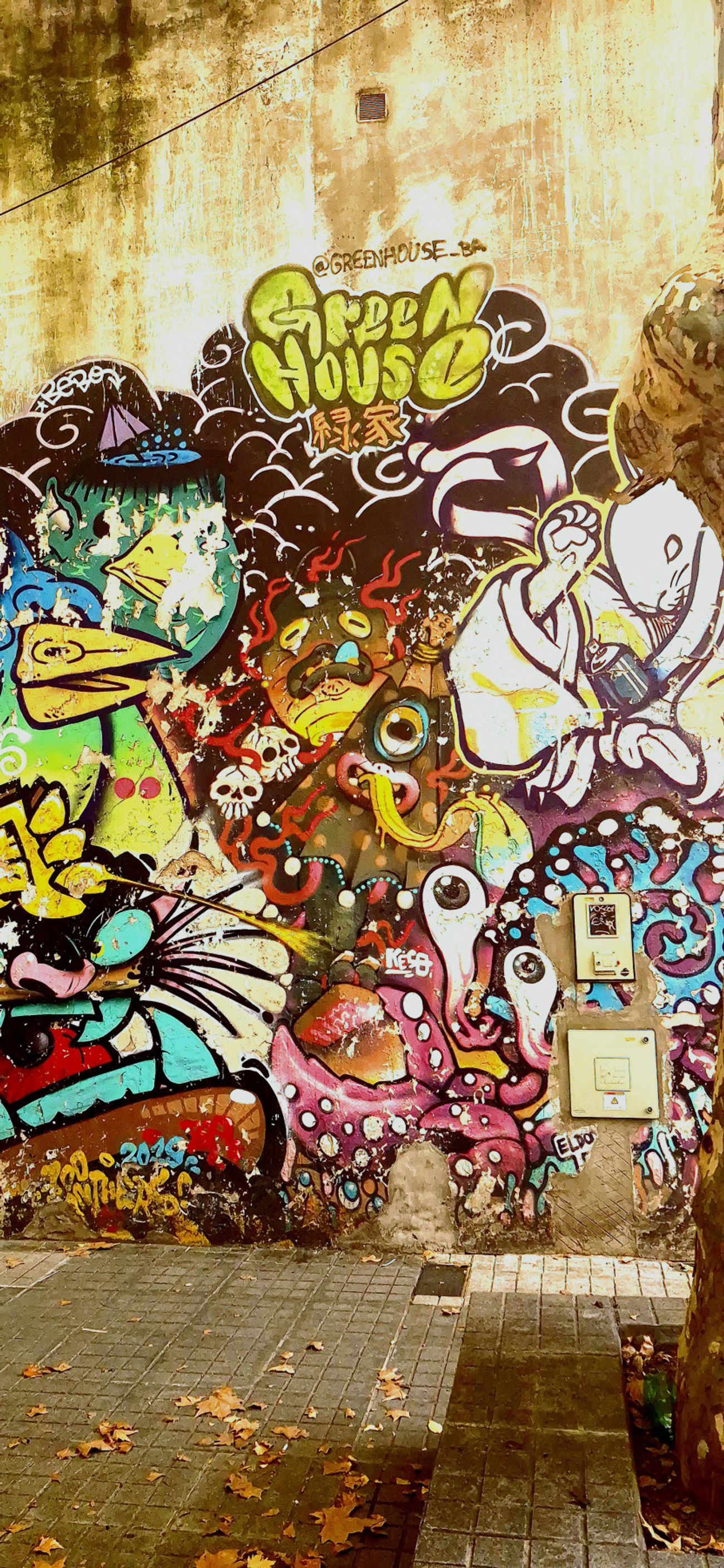 Photo #245924 by Fabio77