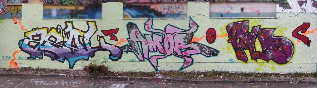 Photo #51336 by Fhil