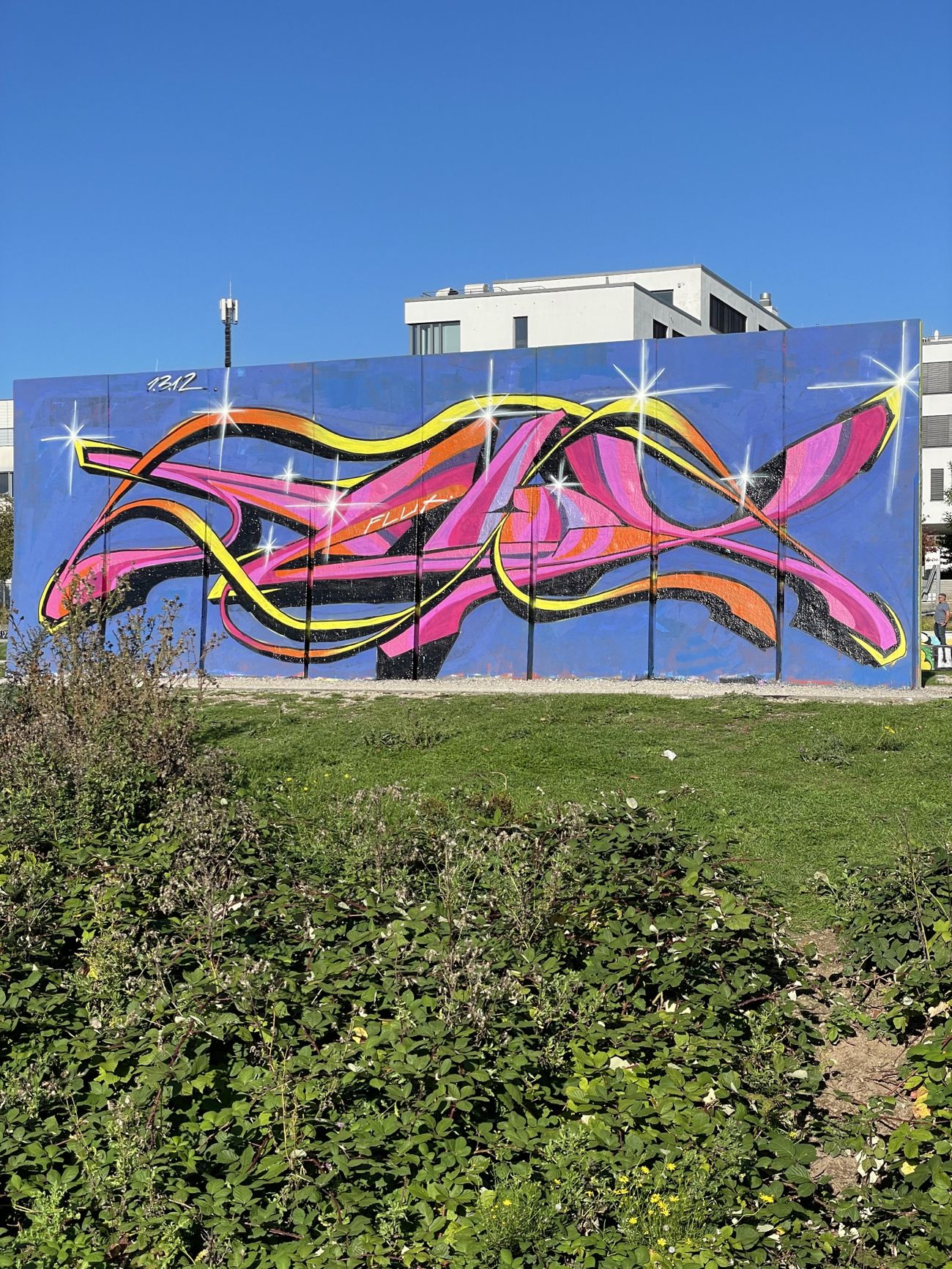 Photo #246278 by Flux55