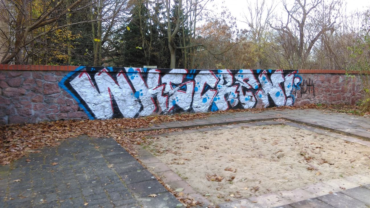 Photo #200329 by Hallunken