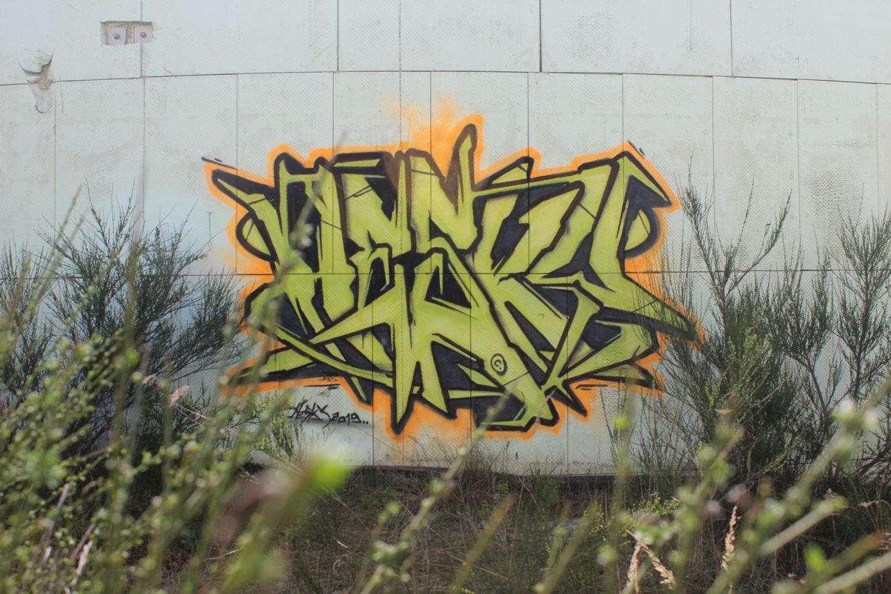 Photo #227373 by Hesky