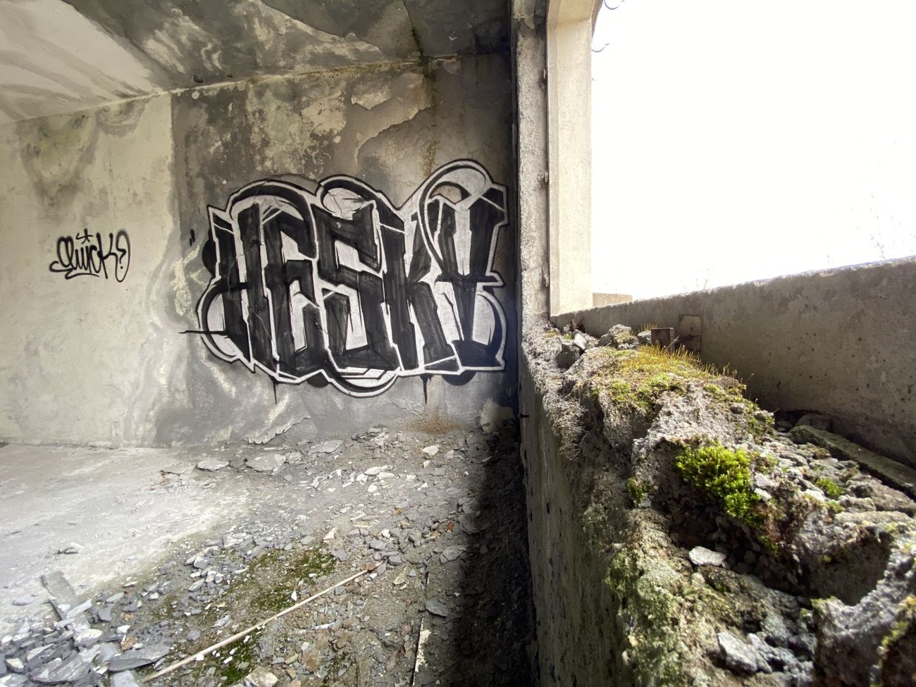 Photo #239567 by Hesky