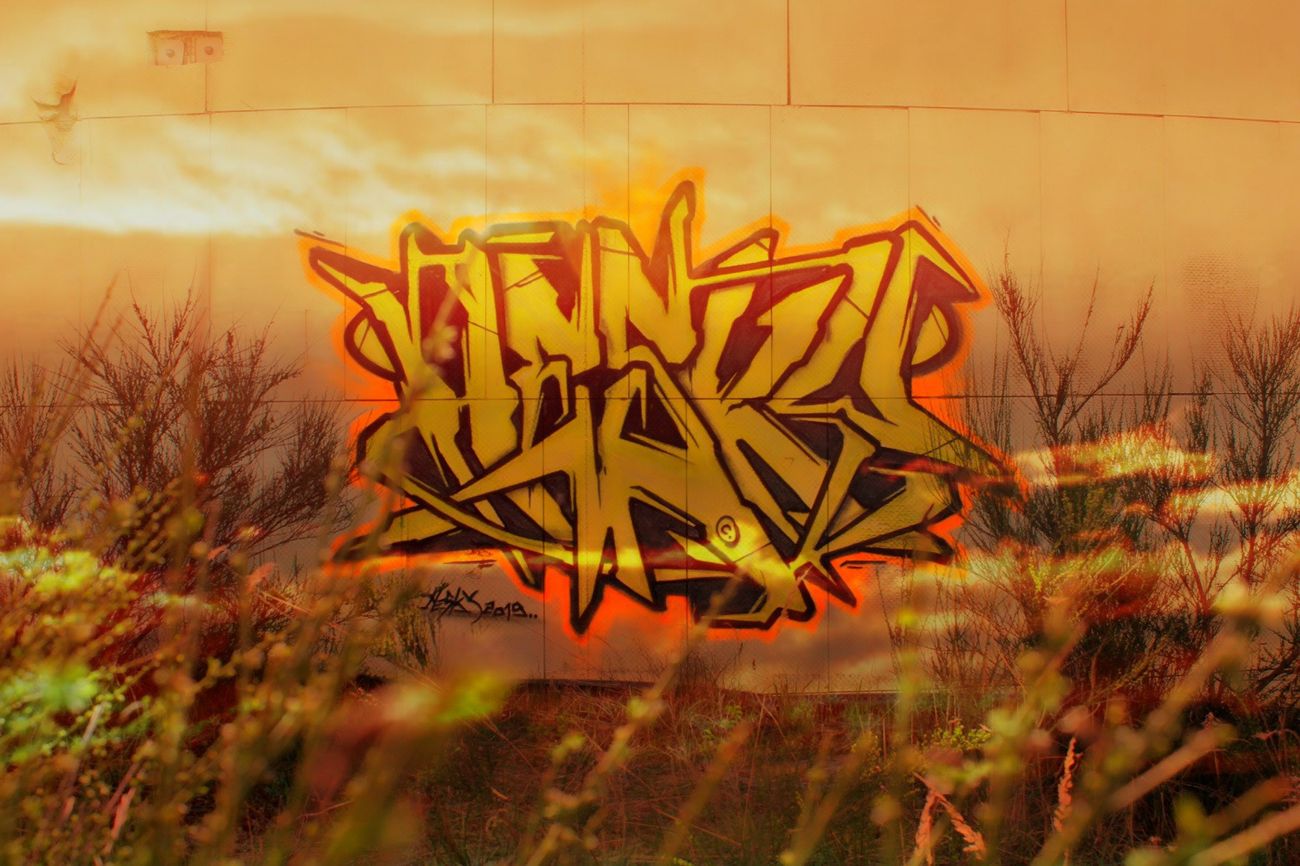 Photo #227371 by Hesky