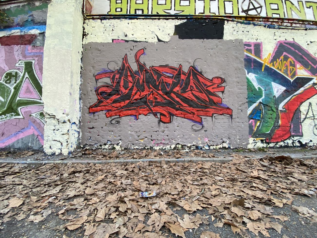 Photo #234067 by Hesky