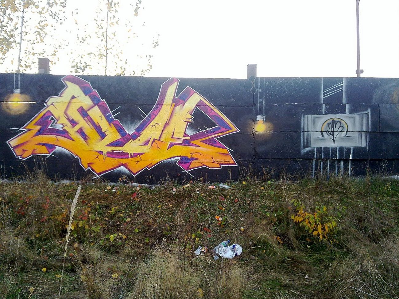 Photo #44128 by HideHauer