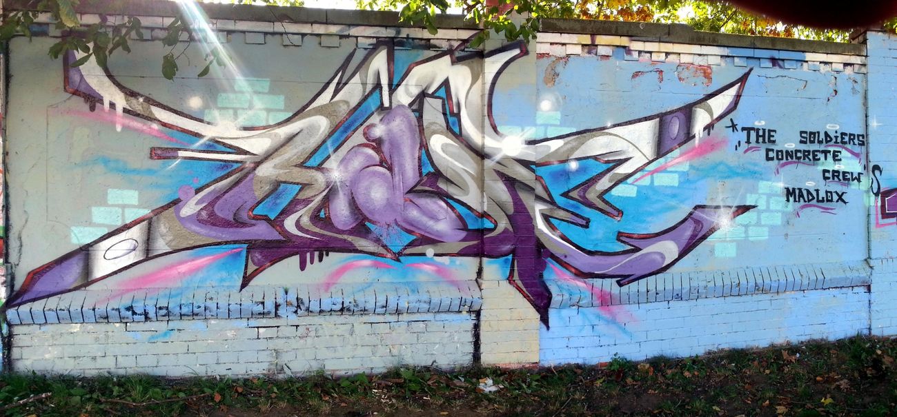 Photo #170248 by HideHauer