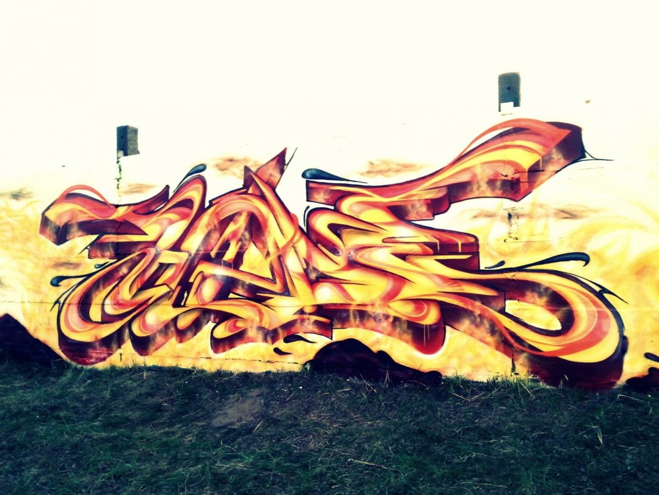 Photo #150418 by HideHauer