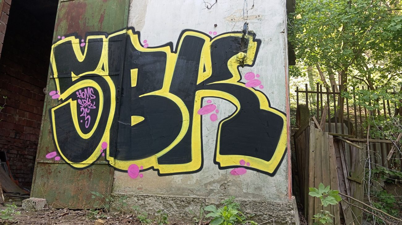 Photo #245202 by Homs