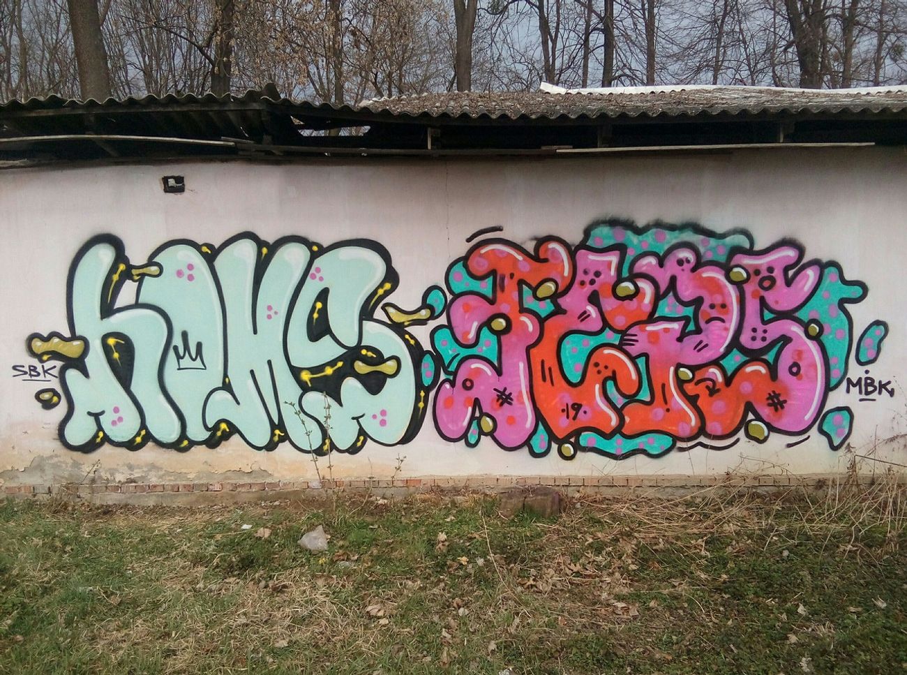 Photo #226881 by Homs