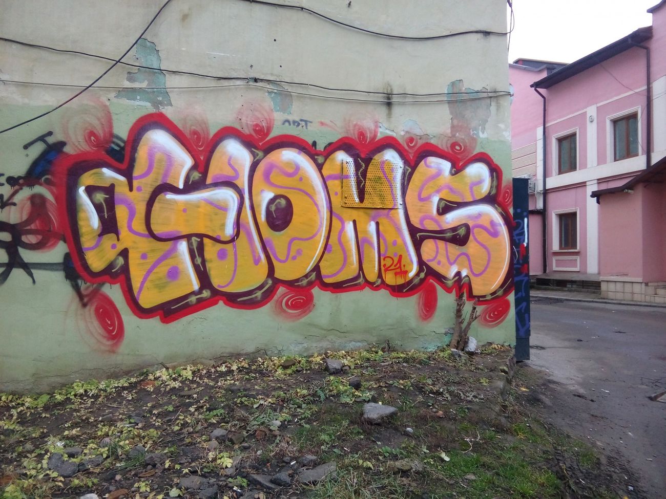 Photo #233242 by Homs