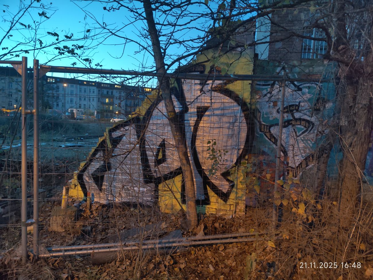 Photo #247626 by JOK