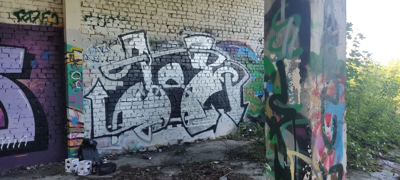 Photo #247583 by JOK