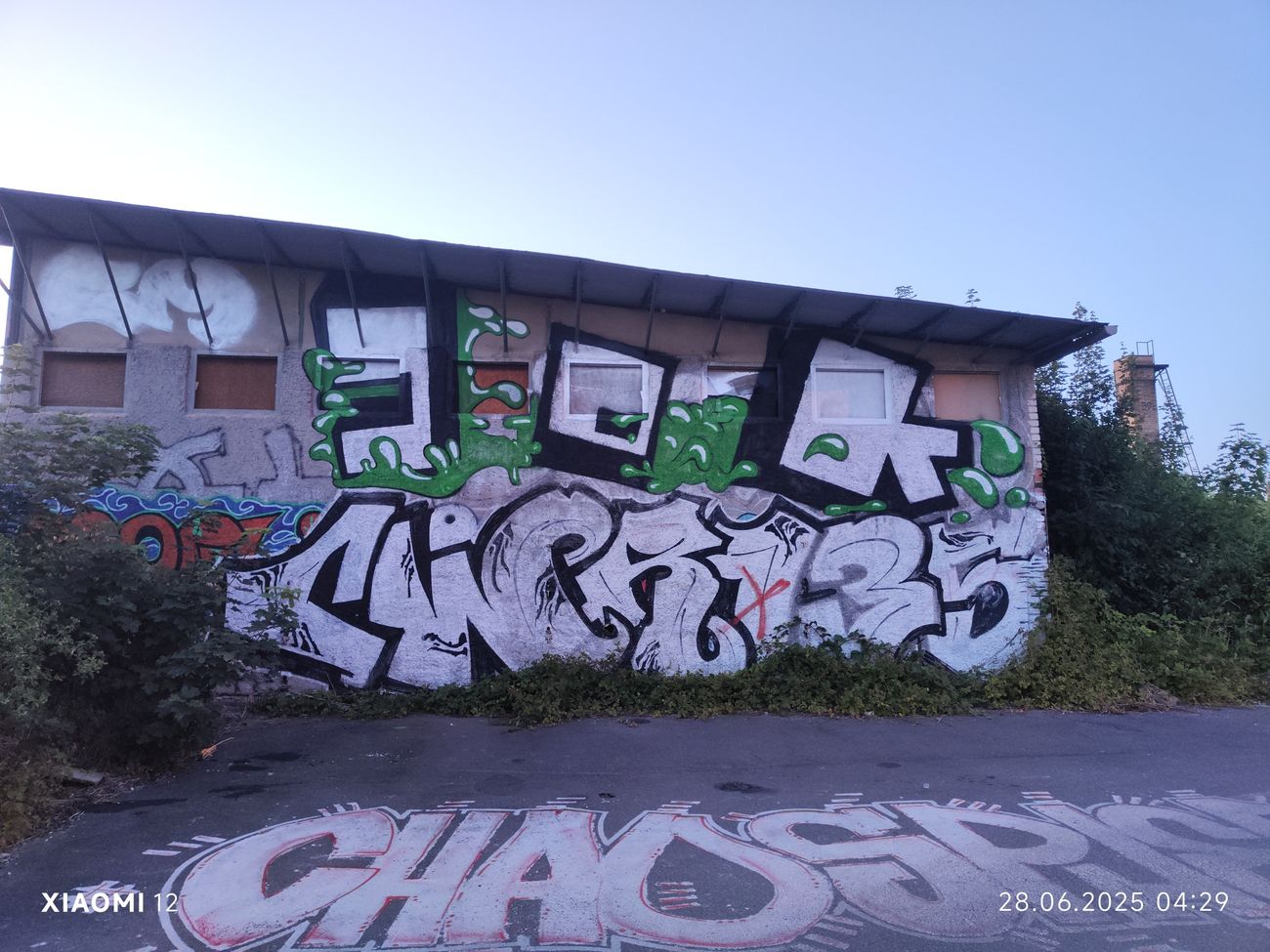 Photo #247599 by JOK