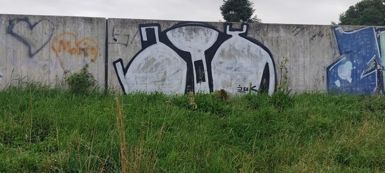 Photo #247580 by JOK