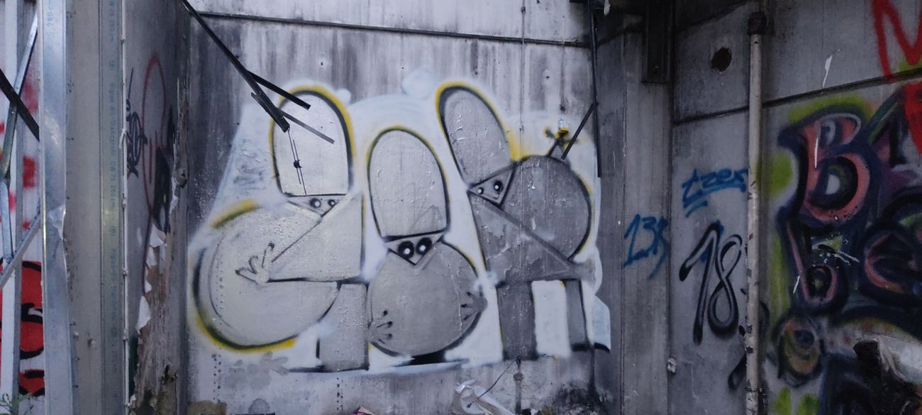 Photo #247585 by JOK