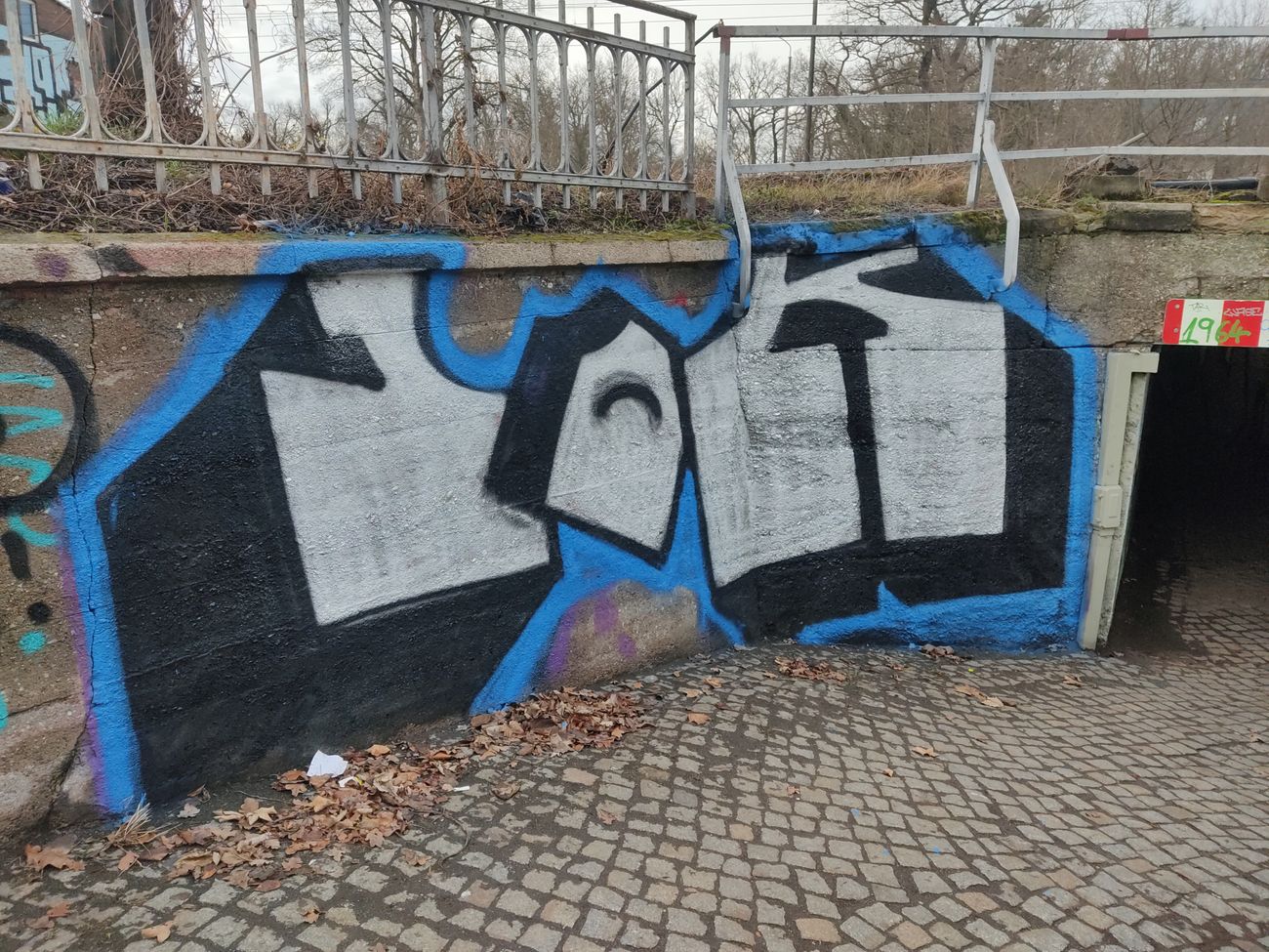 Photo #247631 by JOK