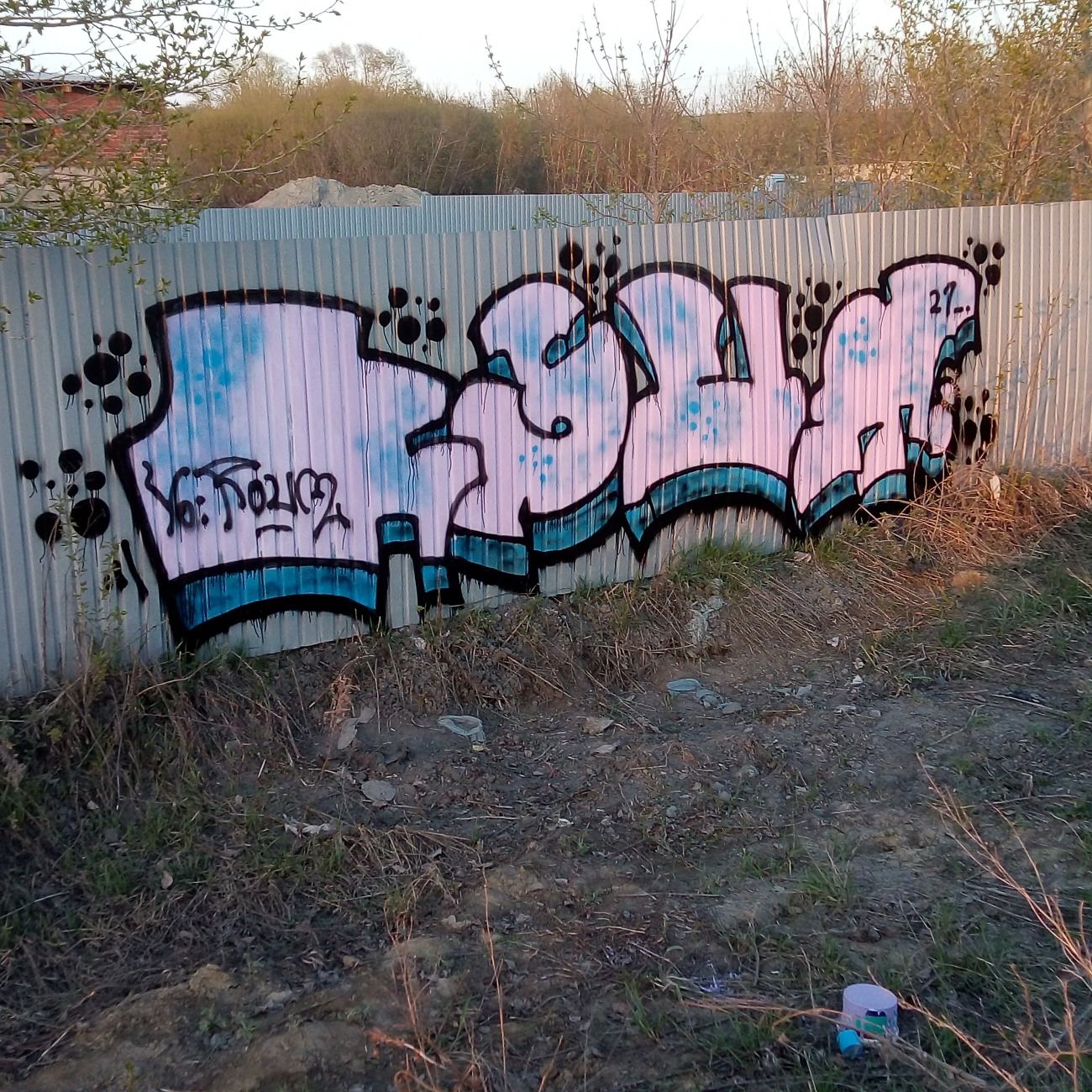 Photo #234224 by KSUM