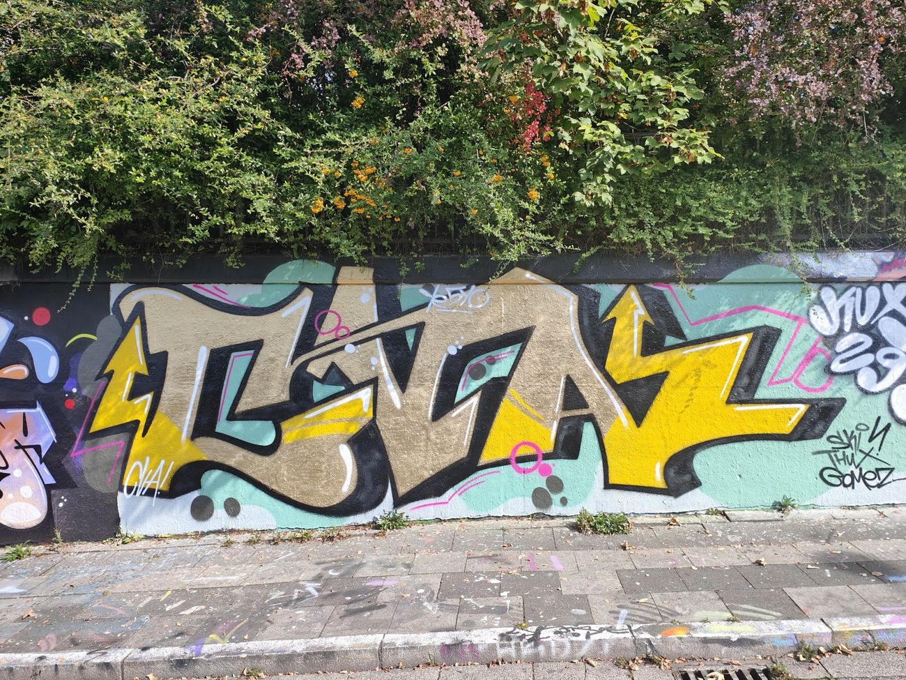 Photo #238590 by Kico_one