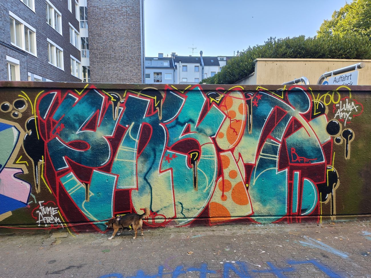 Photo #238586 by Kico_one