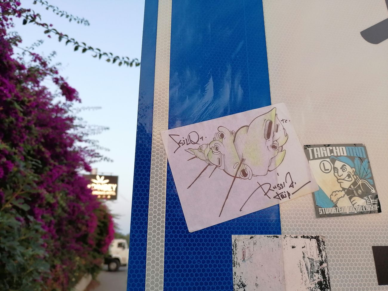 Photo #245579 by Kilo1