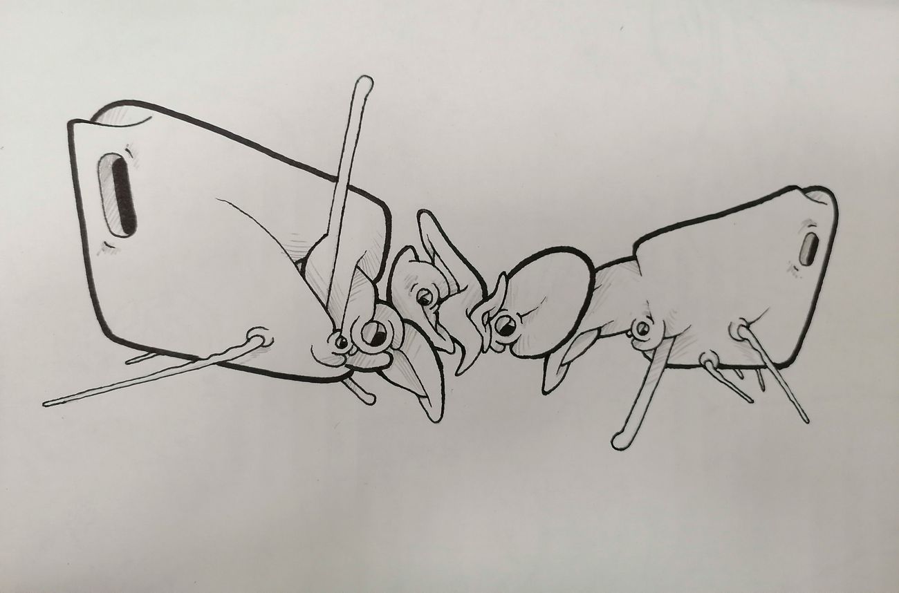 Photo #247336 by Kilo1