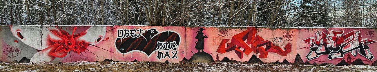 Photo #247418 by Kilo1