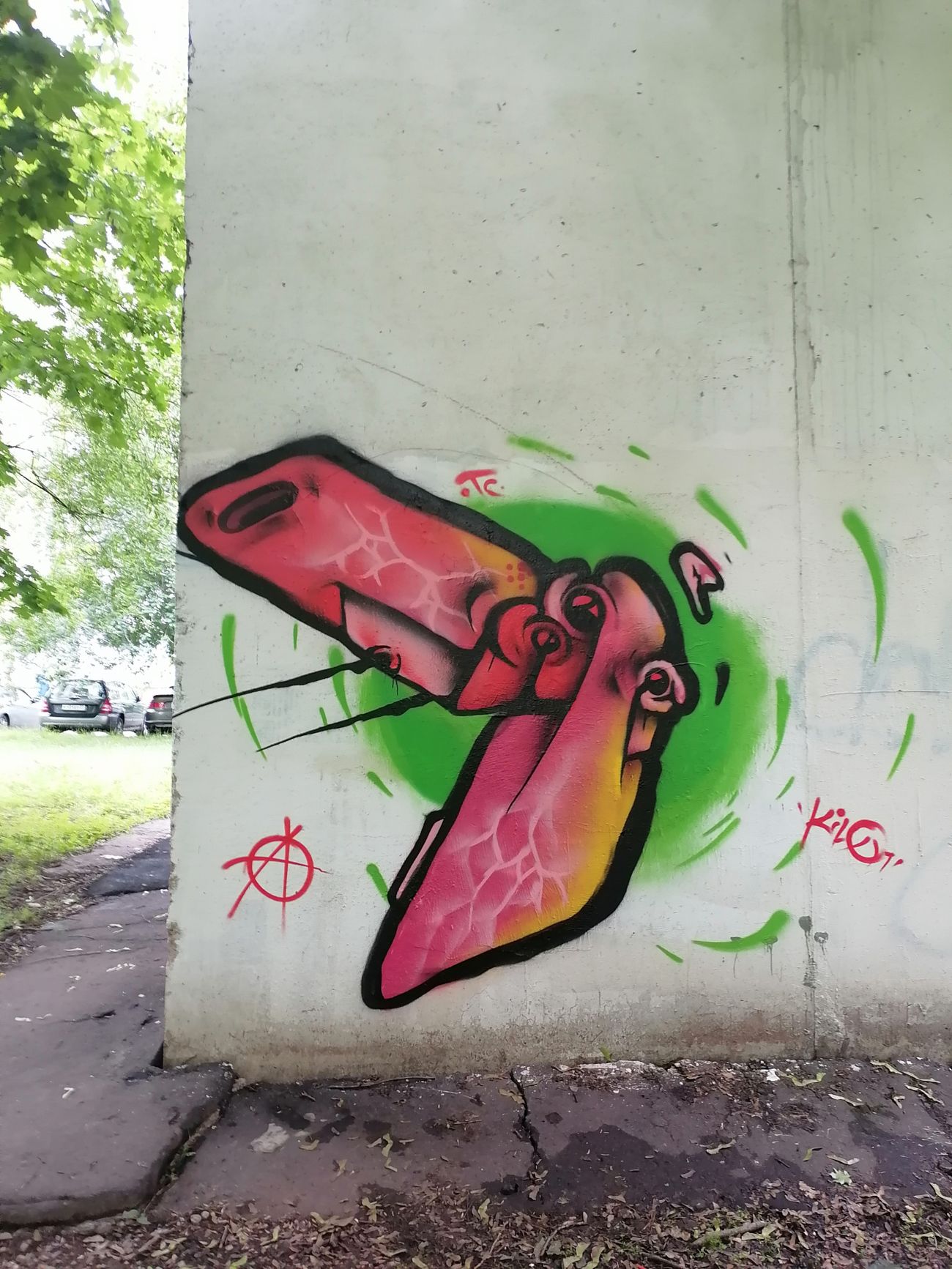 Photo #245586 by Kilo1