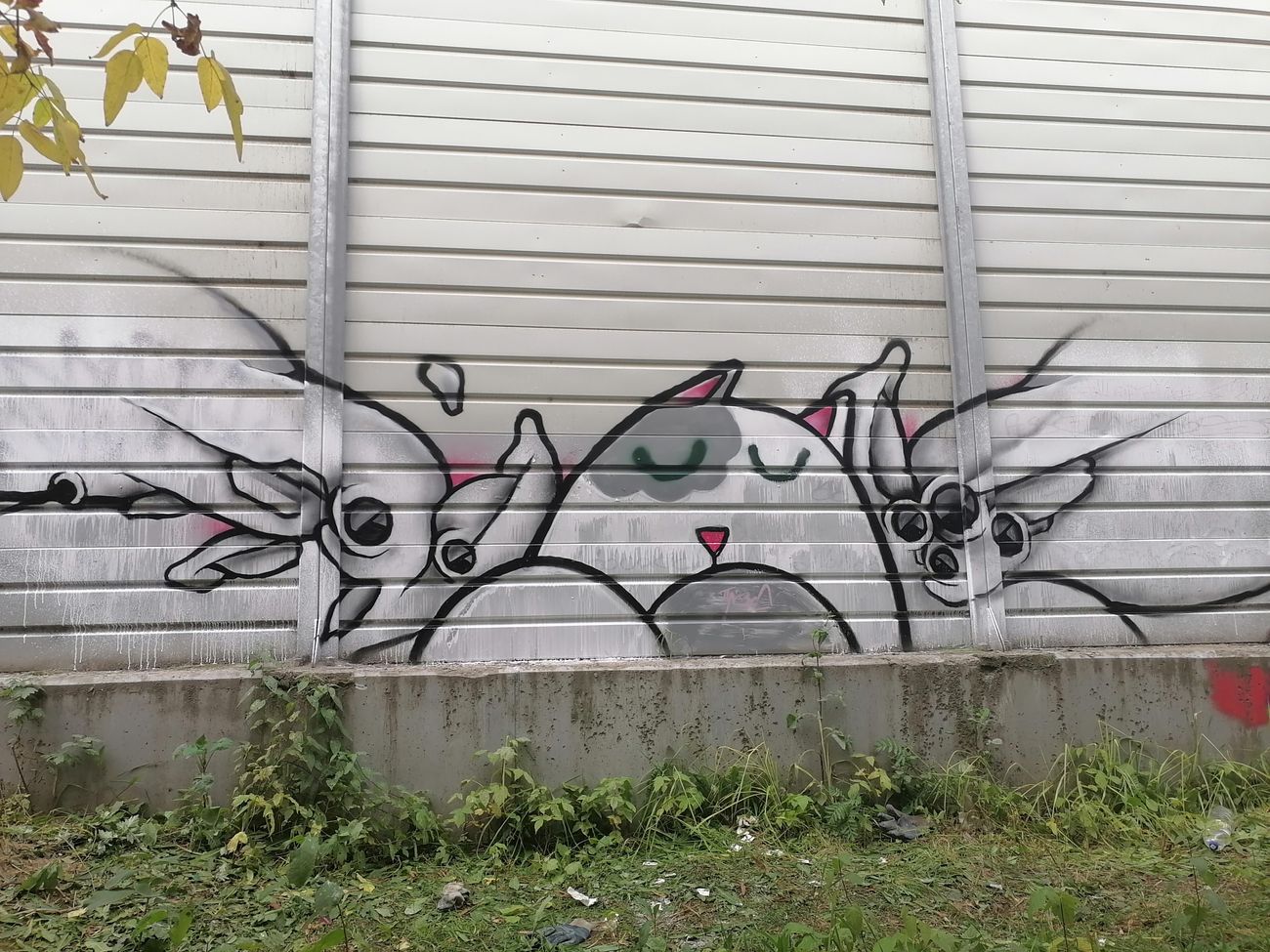 Photo #246535 by Kilo1