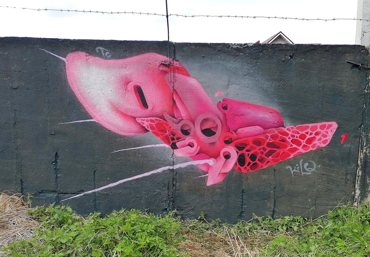 Photo #245439 by Kilo1
