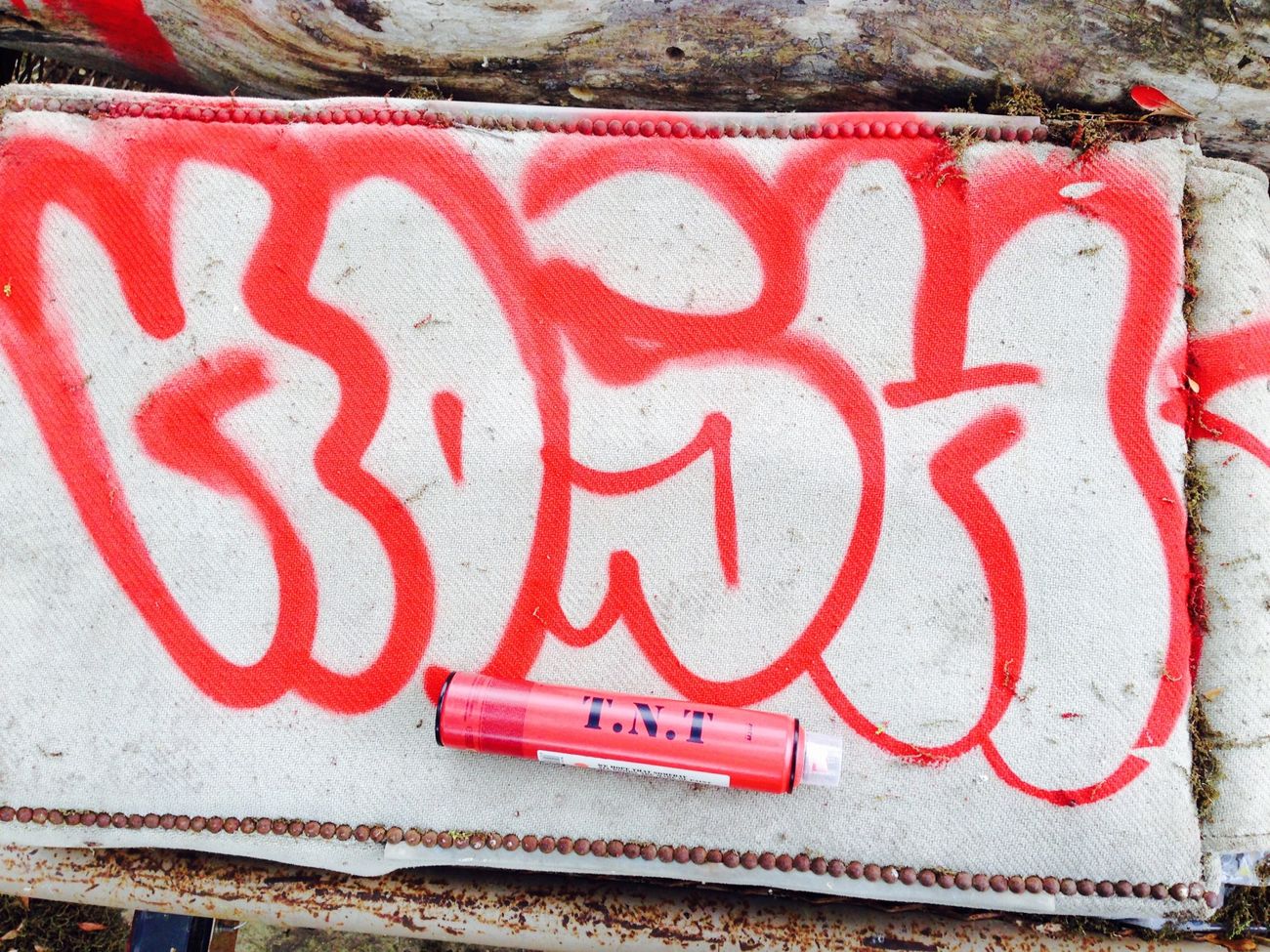 Photo #153762 by Kosh101