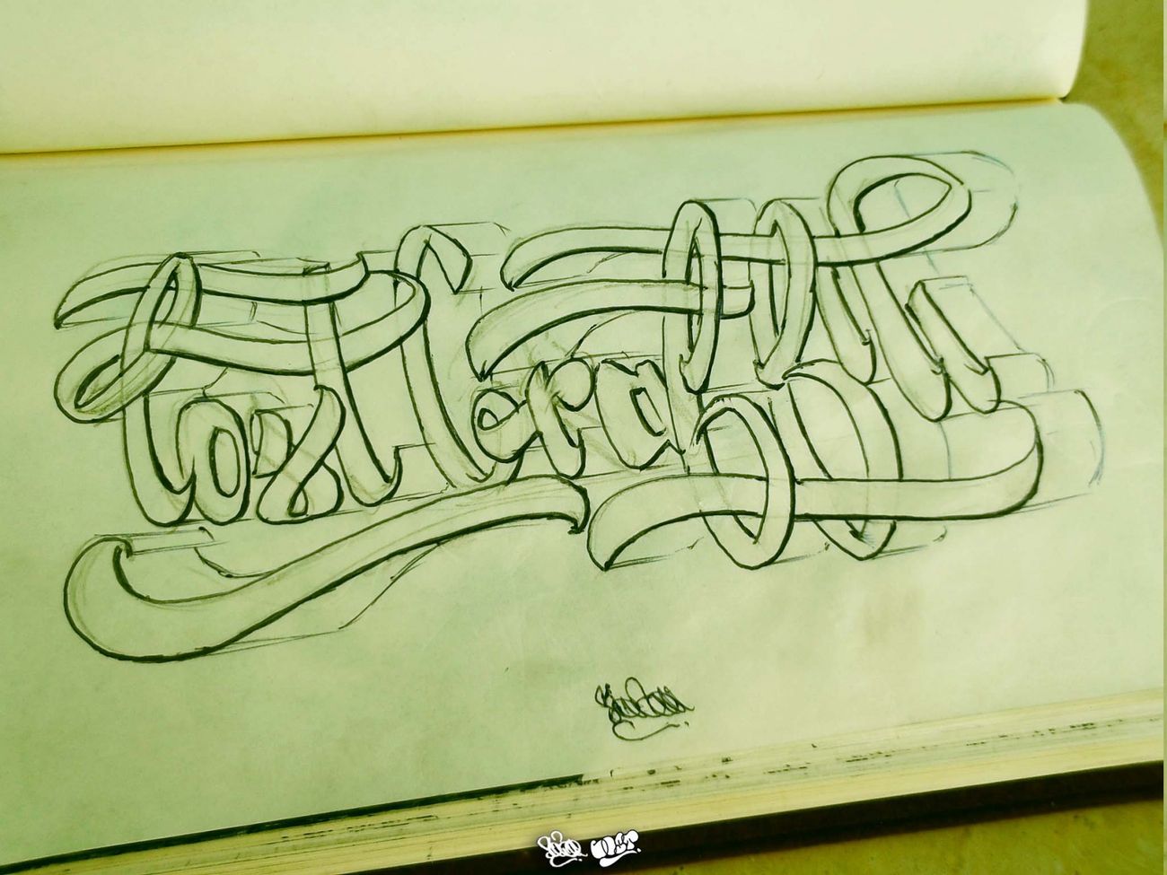 Photo #161607 by LOST