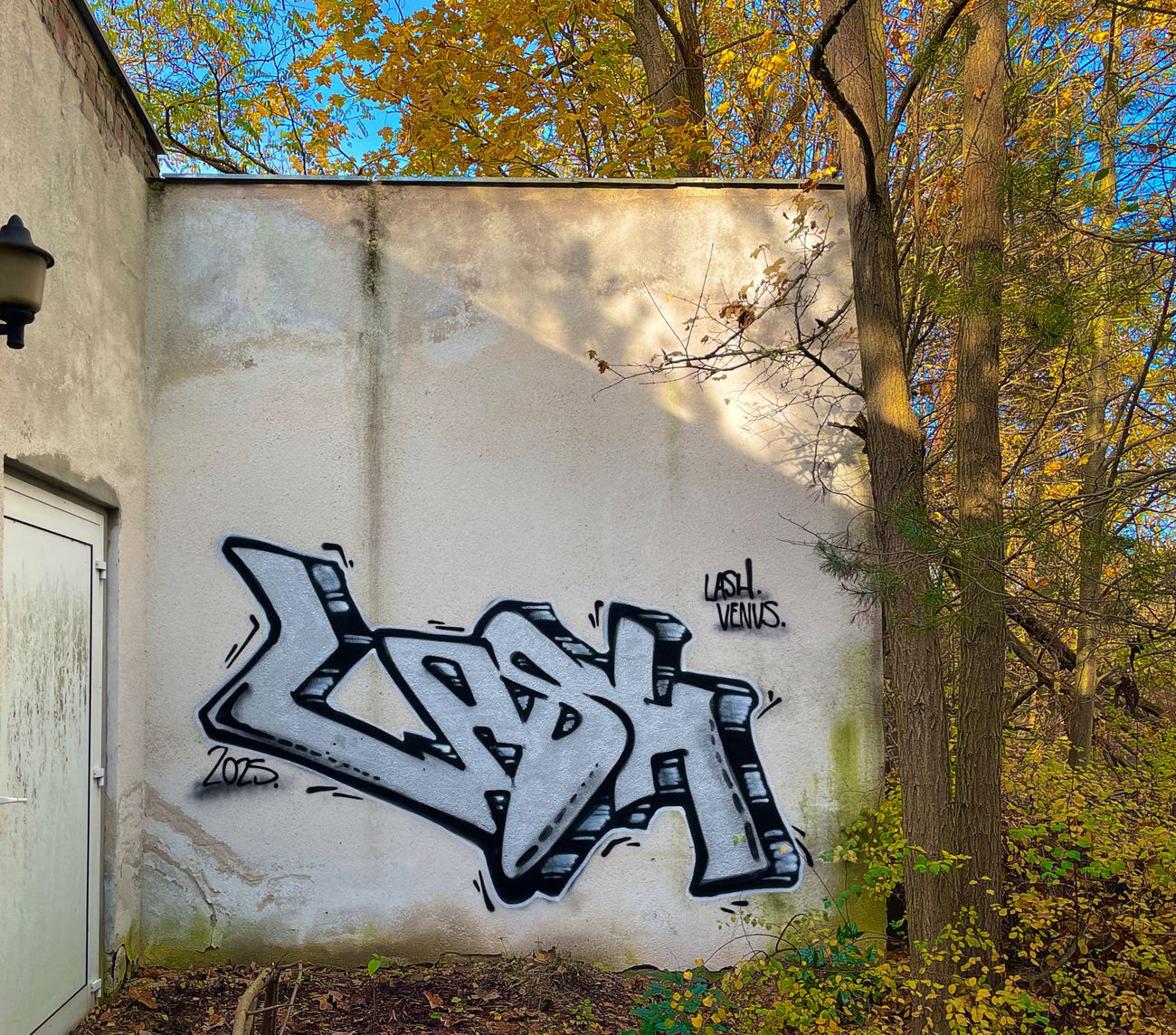 Photo #247320 by Lasher