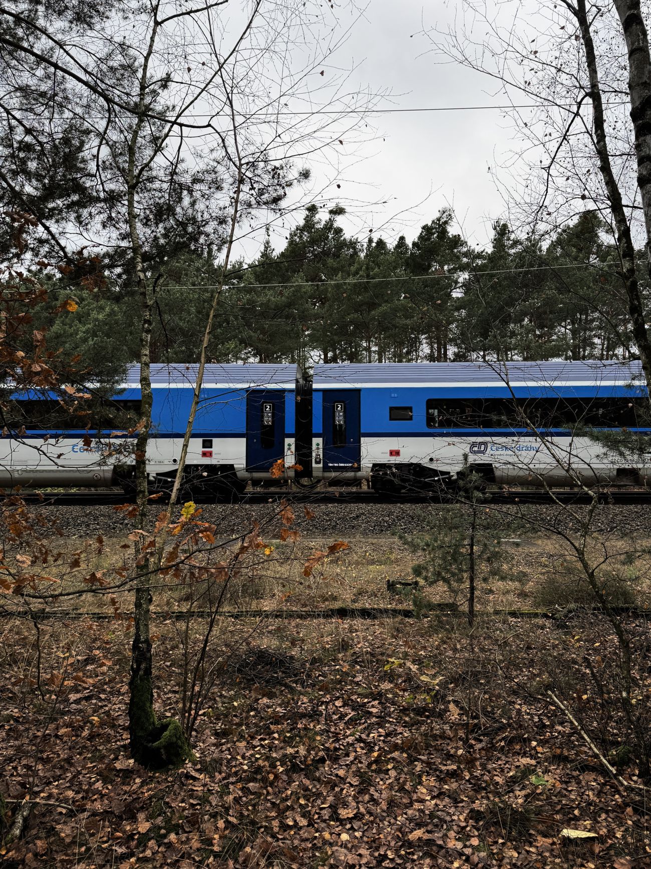 Photo #247435 by Lasher