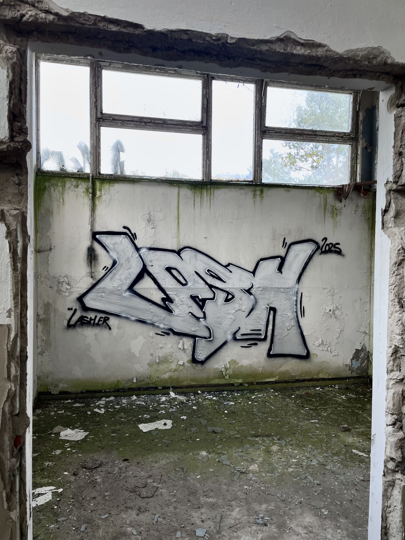 Photo #247307 by Lasher