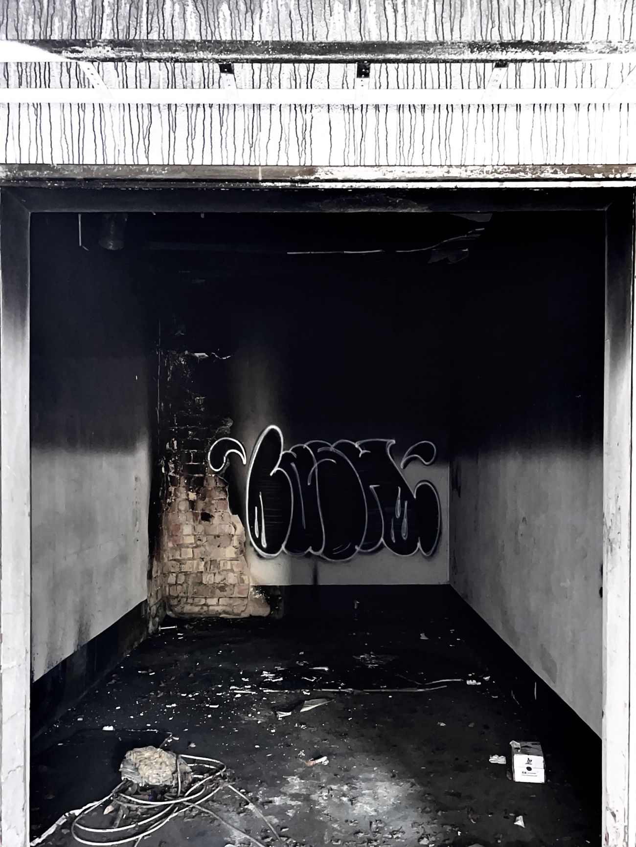 Photo #247315 by Lasher