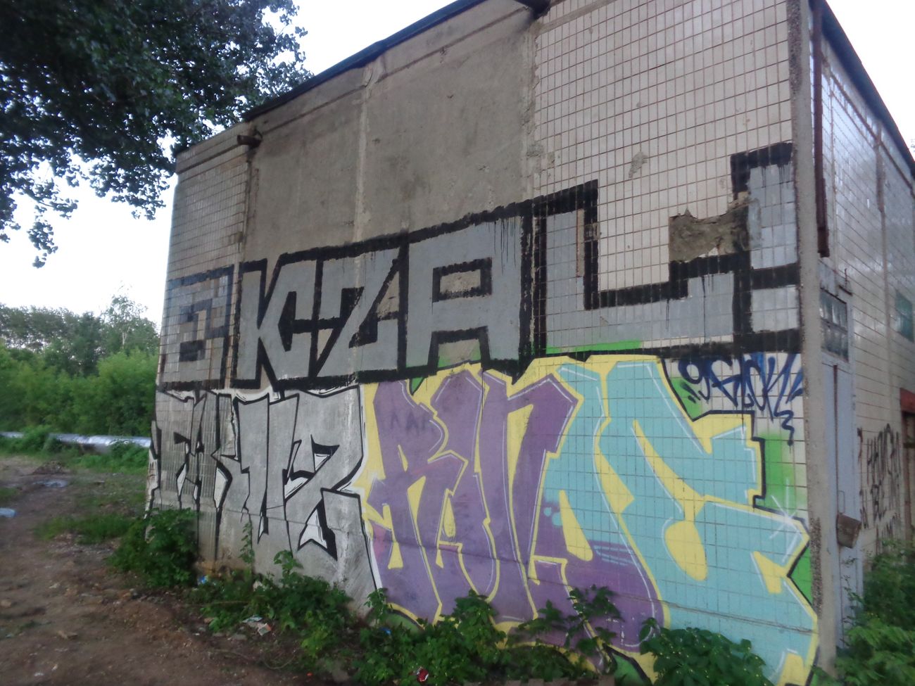 Photo #247008 by Lazke