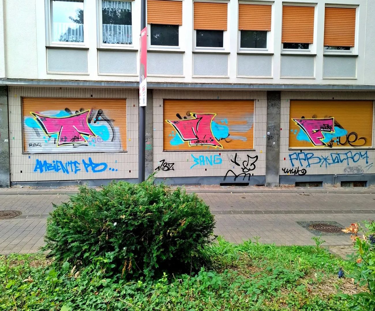 Photo #246306 by Lkwpeter