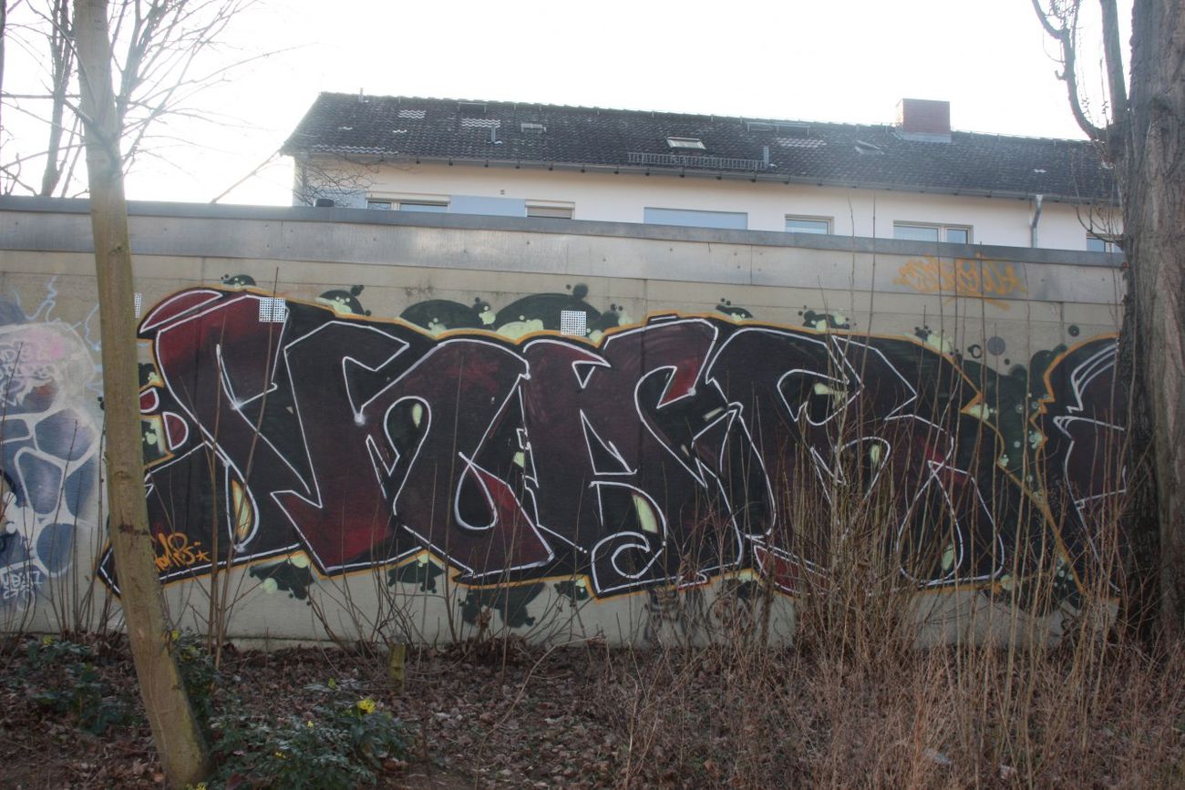 Photo #79072 by Manfredkarlheinz