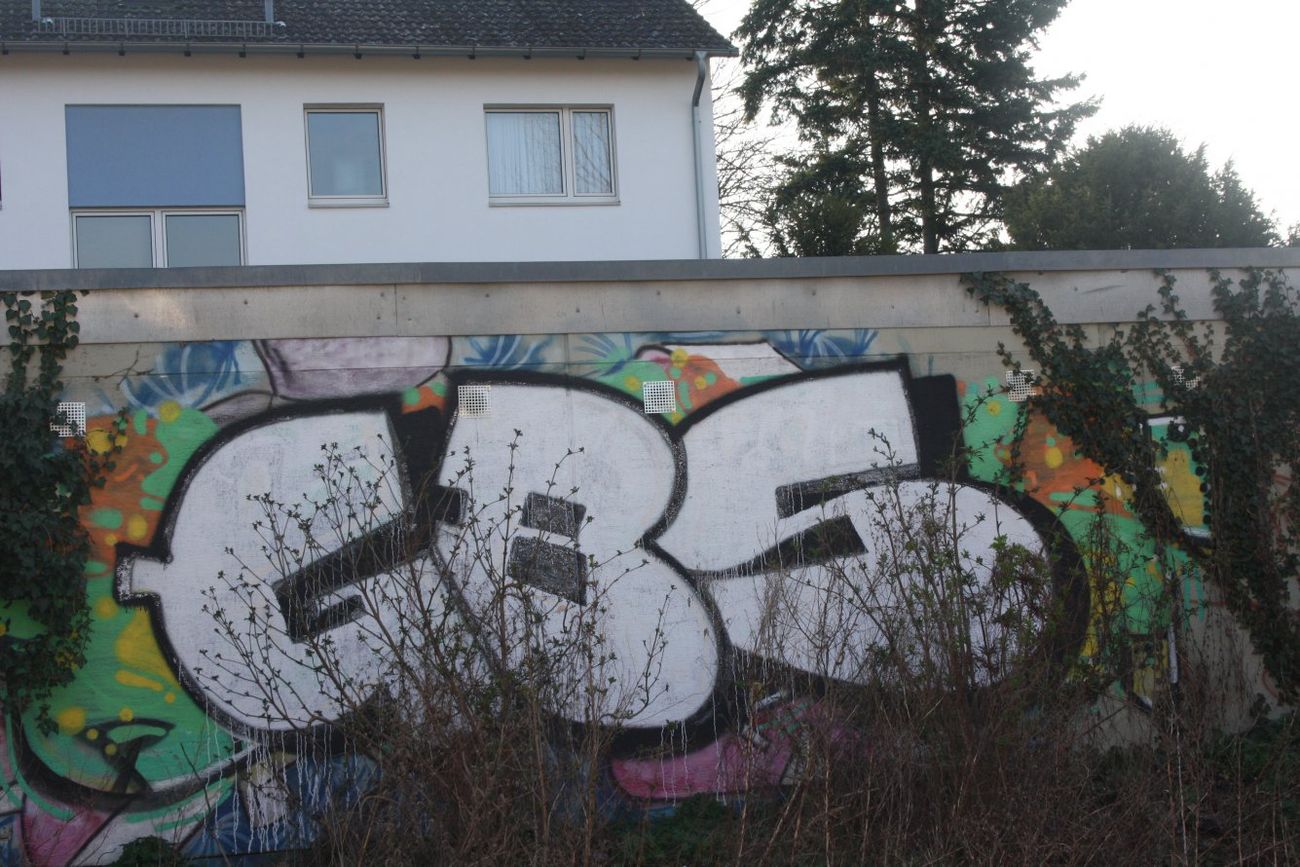 Photo #79074 by Manfredkarlheinz