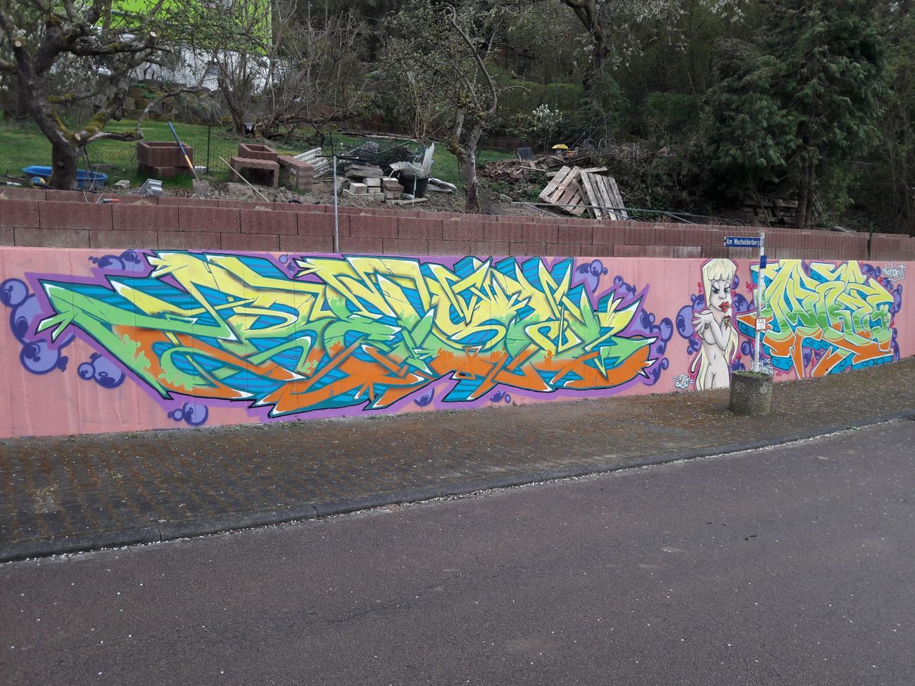 Photo #231044 by Meckes
