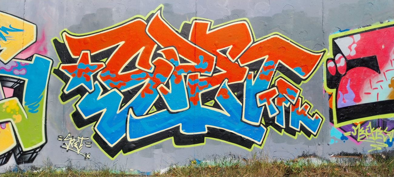 Photo #245788 by Meckes