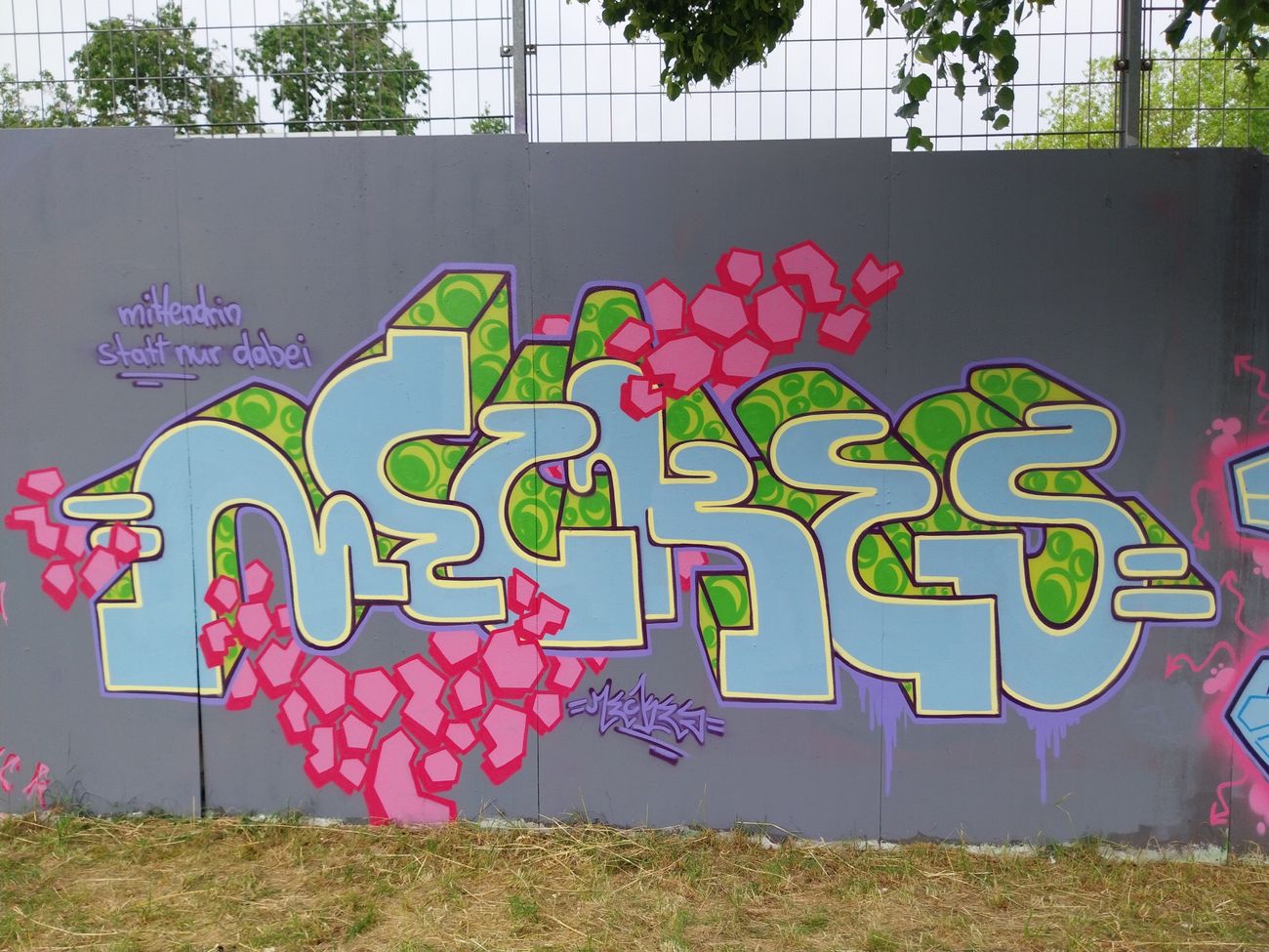 Photo #245550 by Meckes