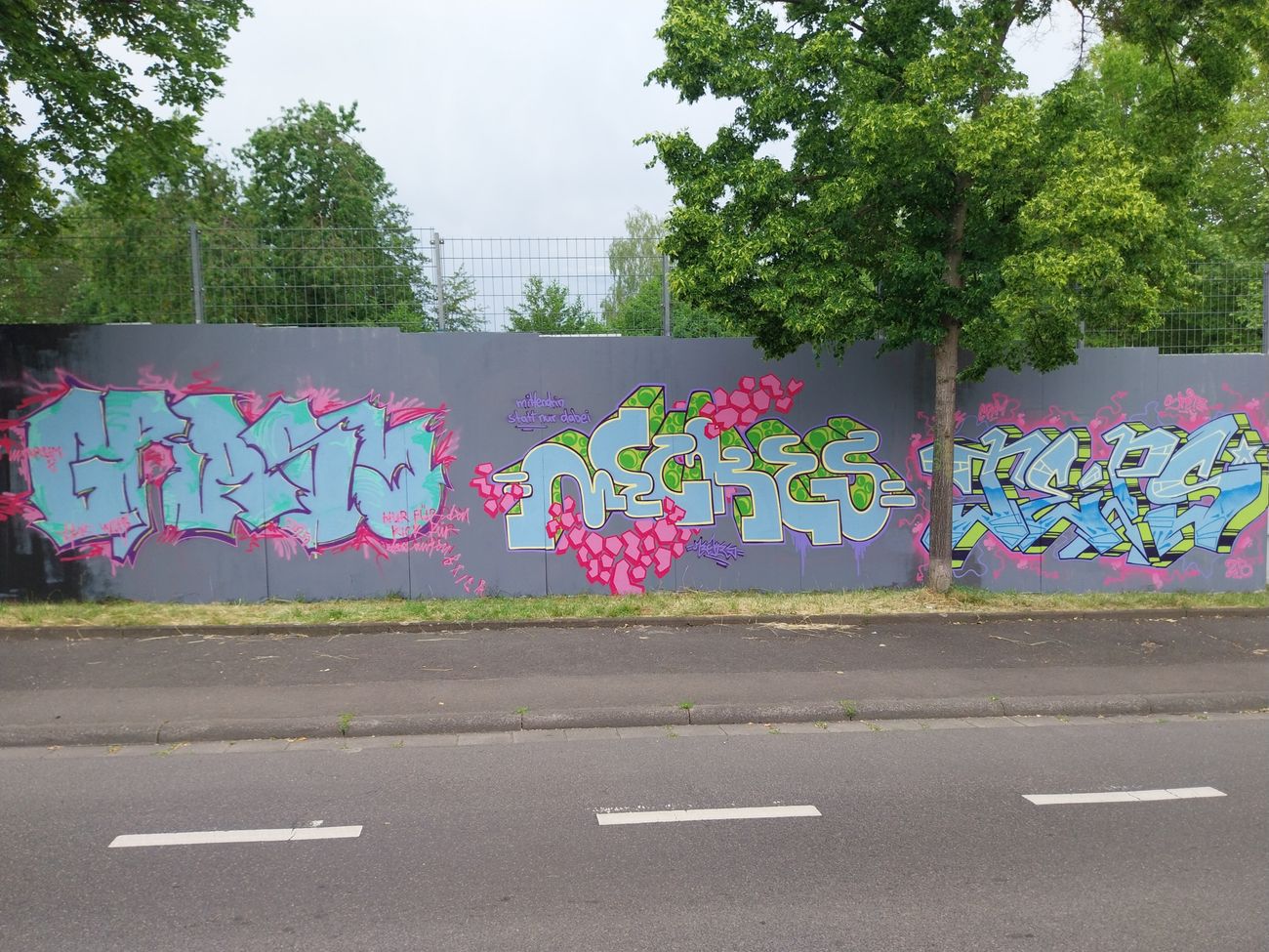 Photo #245551 by Meckes