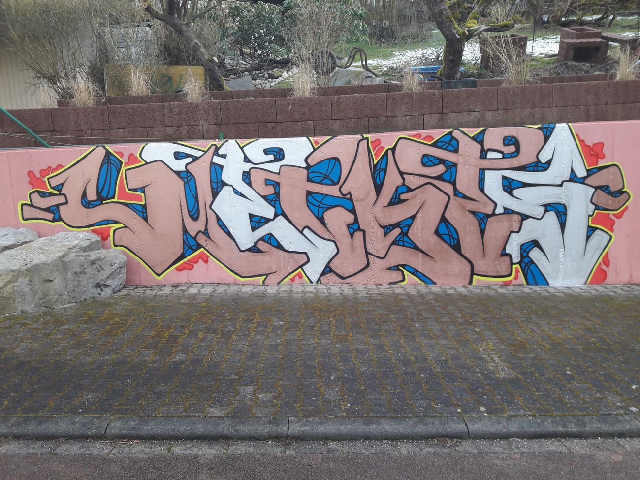 Photo #230480 by Meckes